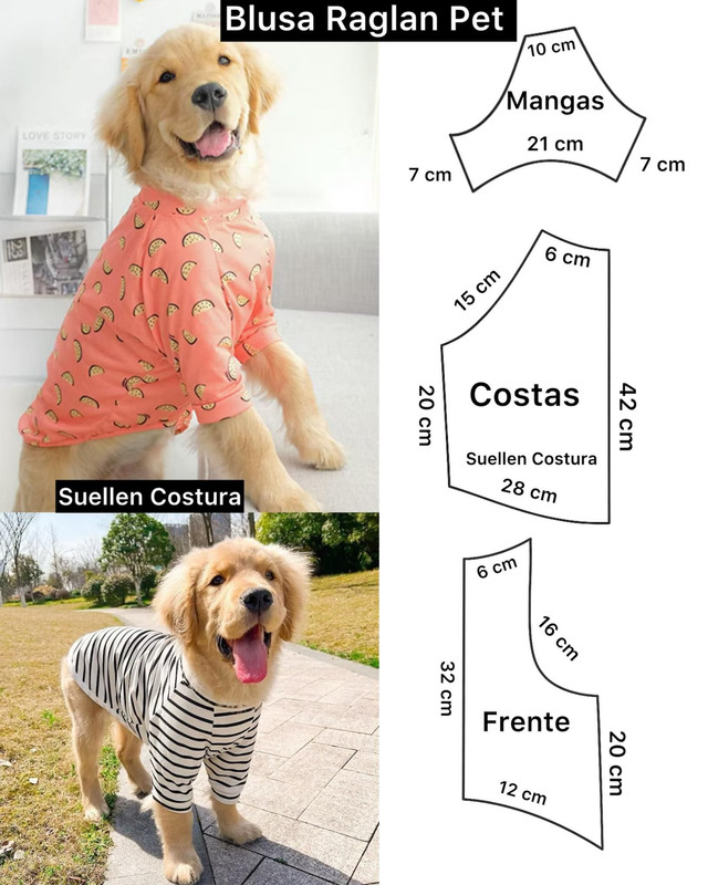 Amostra 3