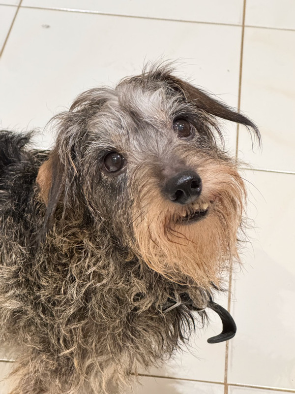 [Image: IMG-20241123-210112.jpg]