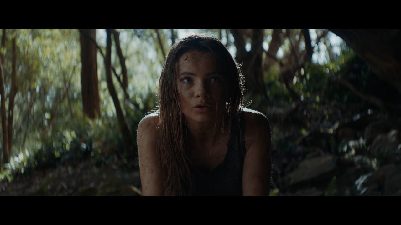 Kingdom-of-the-Planet-of-the-Apes-DV-4