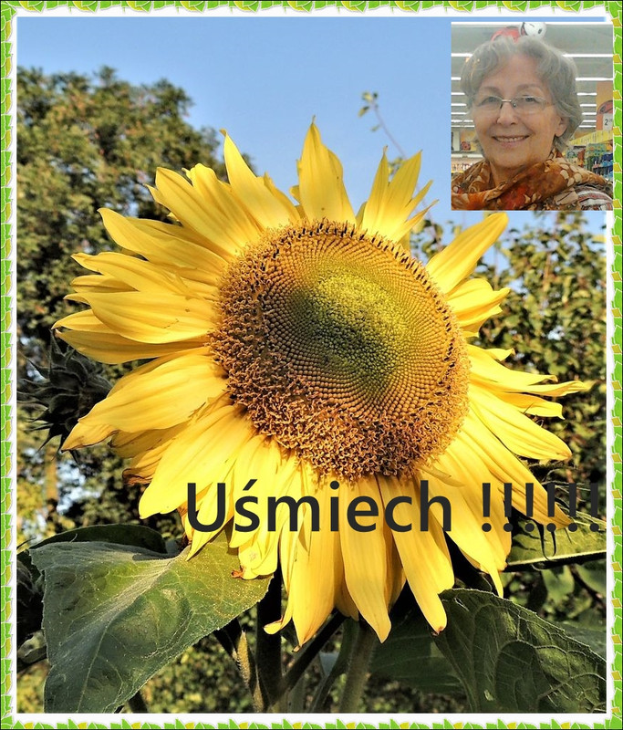 243175771_400713401417567_5390283800337007240_n