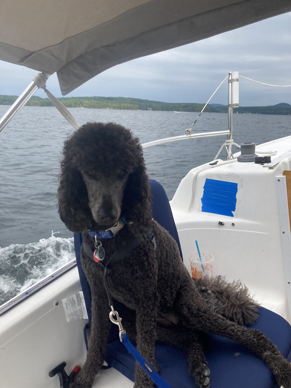 144D718B-EDBB-4FC4-A3C5-25D91A4F6606