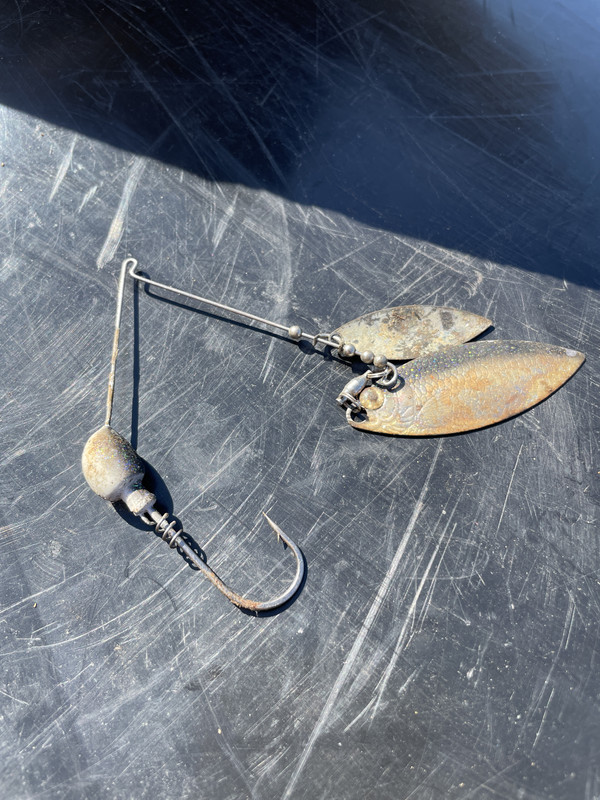 spinnerbait.jpg