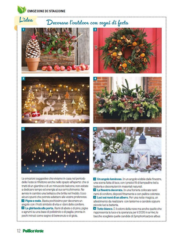 Pol Ver Dic 2025 Gen 2026 (5)