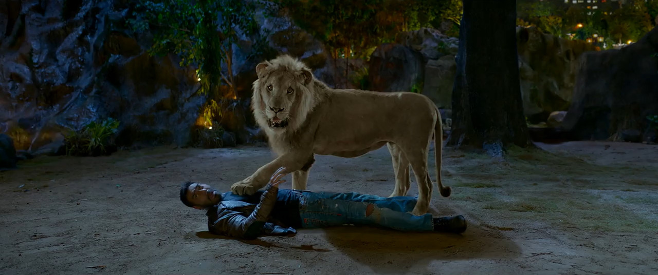 Total Dhamaal 2019 WebRip [Hindi] 480p 720p Screenshot