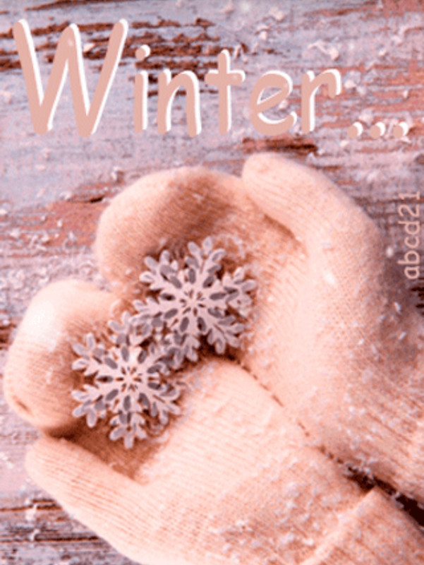 Screenshot_20231206_202158_Pinterest