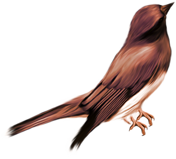 TADD_elements_ShimmerFall (67)