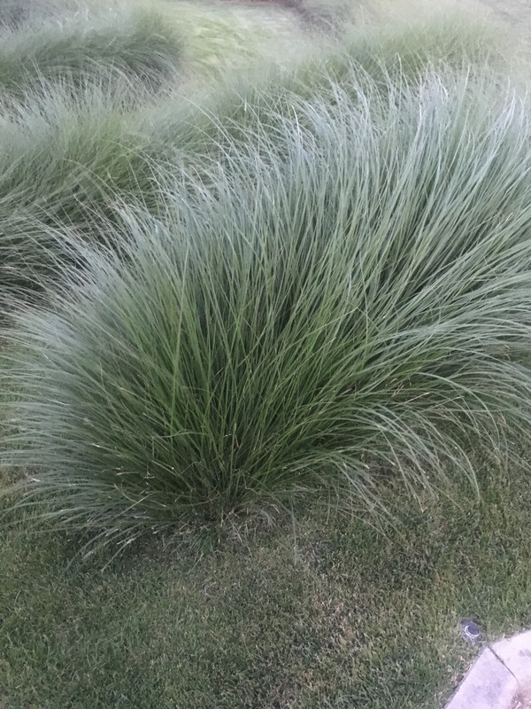 9AEB0590-935F-4DC3-BEE2-20C8996C3200