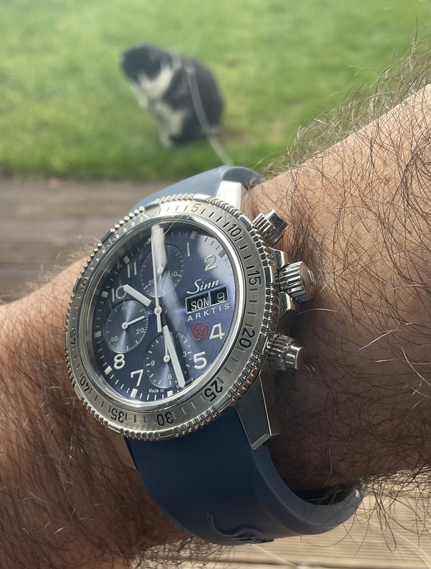 8F42066D-83D2-4A38-8CD3-C91F09954EE0