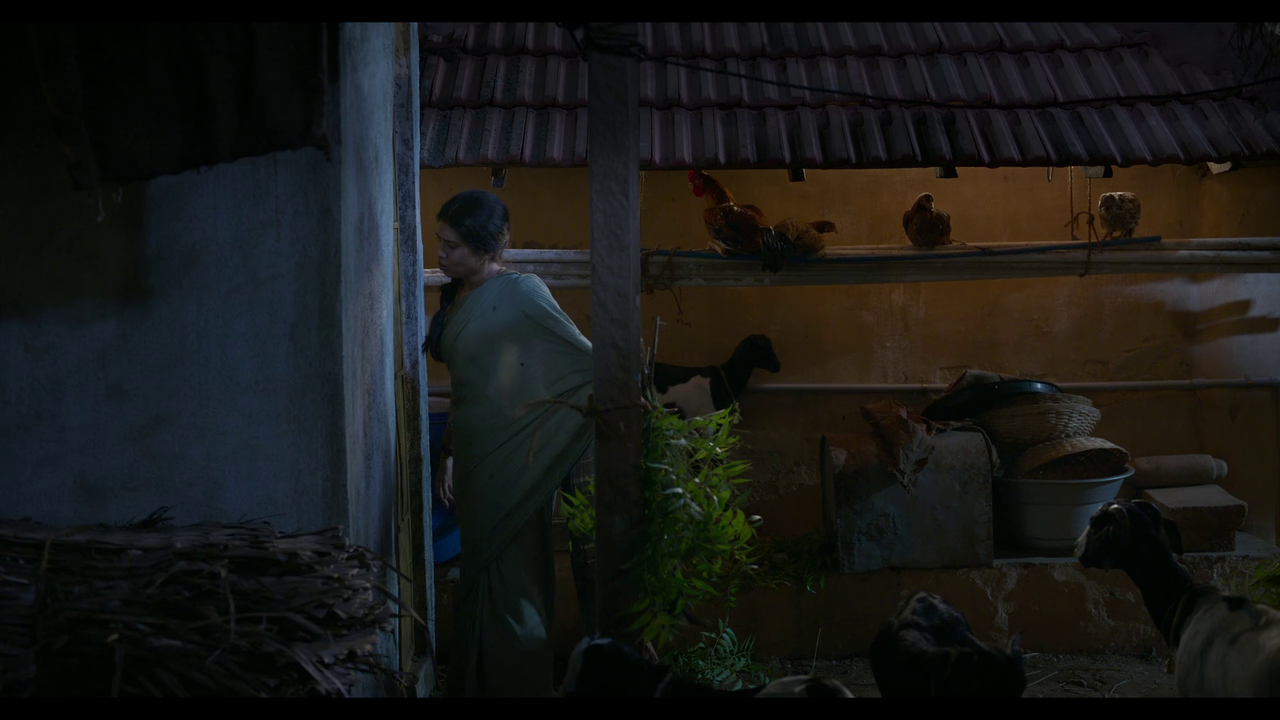 vlcsnap-2025-04-24-21h06m03s204