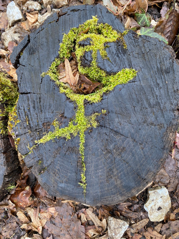 IMG-20230219-WA0009 (1)