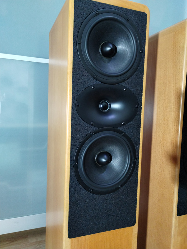 IMG_20241208_170337721