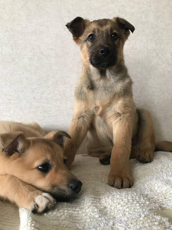 A1E75954-00F6-48E8-9DC2-5DE4A1FCCBEC