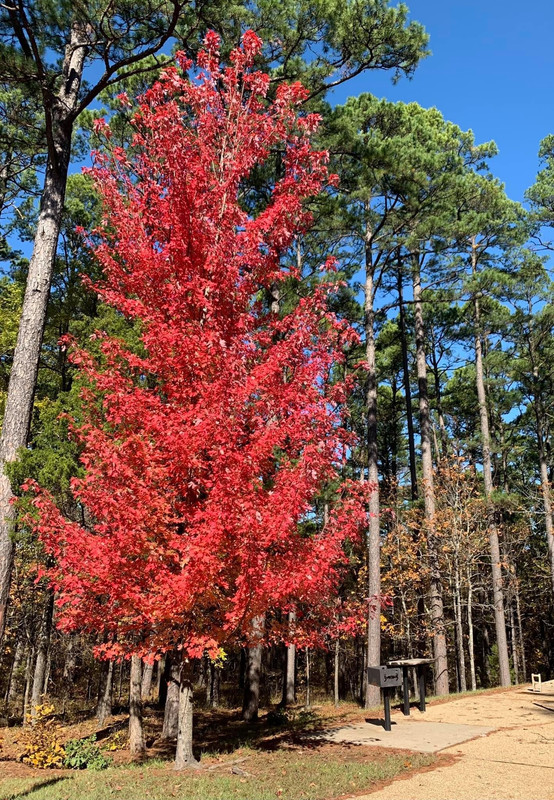 629A23E9-7C65-42C4-B703-89614B5FE702