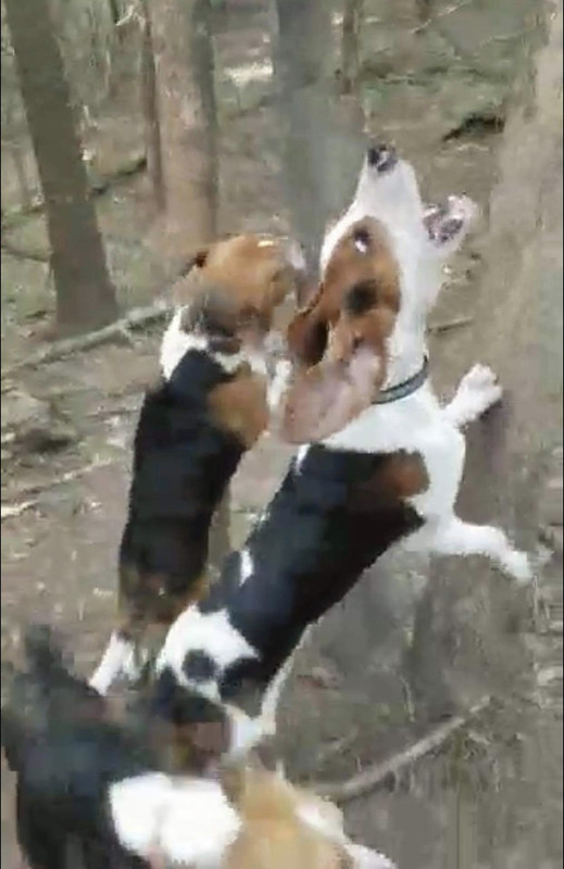 2AB63CA4-32E8-4716-8A85-FB5D5DE2947A