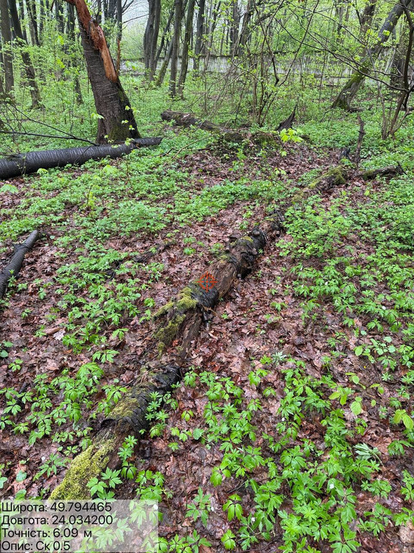 435843ec6e3c855c3d7a7a11cc5cf4397fa3