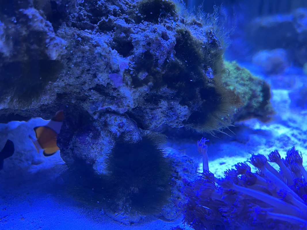 92F21E3D-E8C9-4F33-B9E1-B3C23540A073