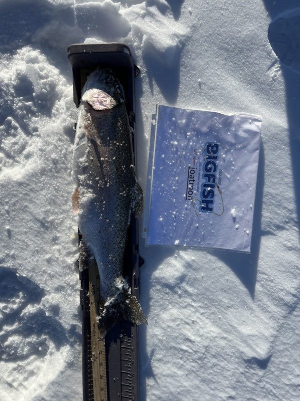 E45E8E40-D504-4872-85DB-A9D6B9224B6E