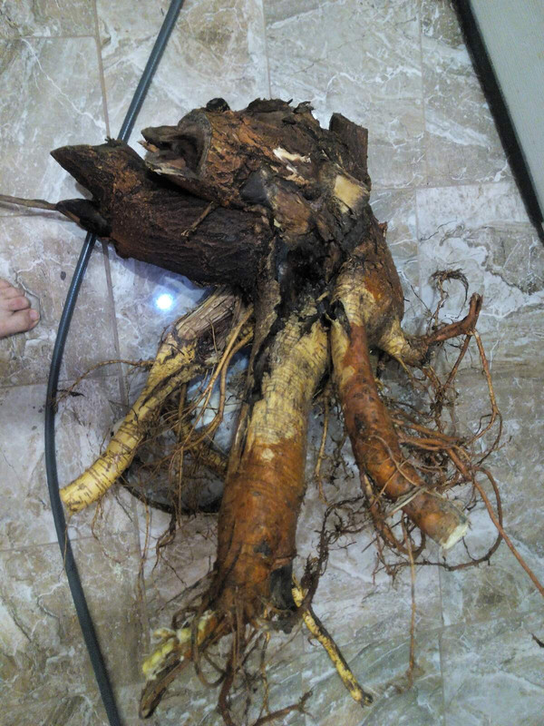 изображение_viber_2021-05-25_22-05-38