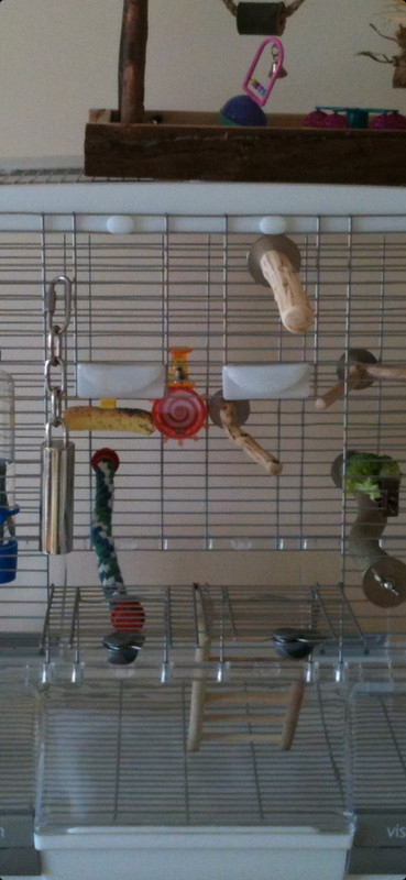 Screenshot_20220720-220318_Gallery