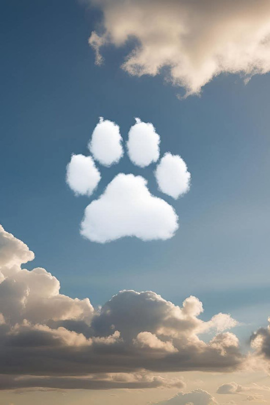 [Image: FB-IMG-1754497293901.jpg]