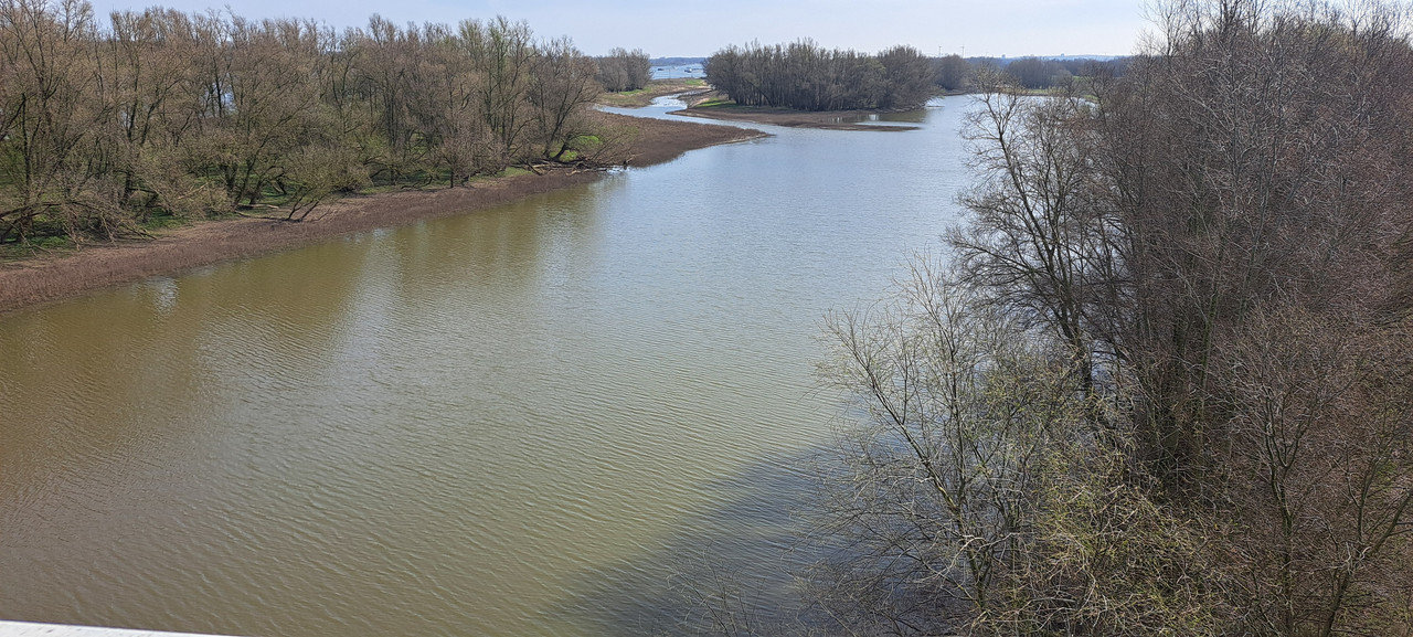 [Afbeelding: 20260320-112807.jpg]