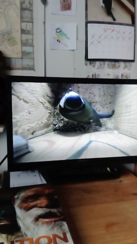 MOV_0577_Trim_Moment(3)