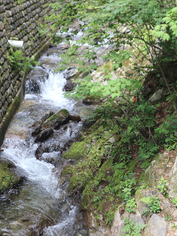IMG-3229