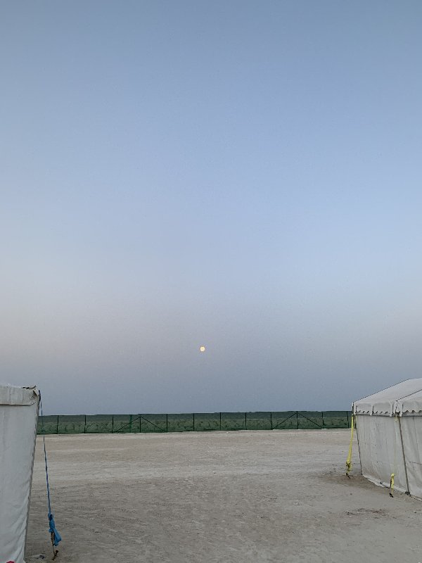 BCF60426-4611-42E3-BCAE-0555D58279E0