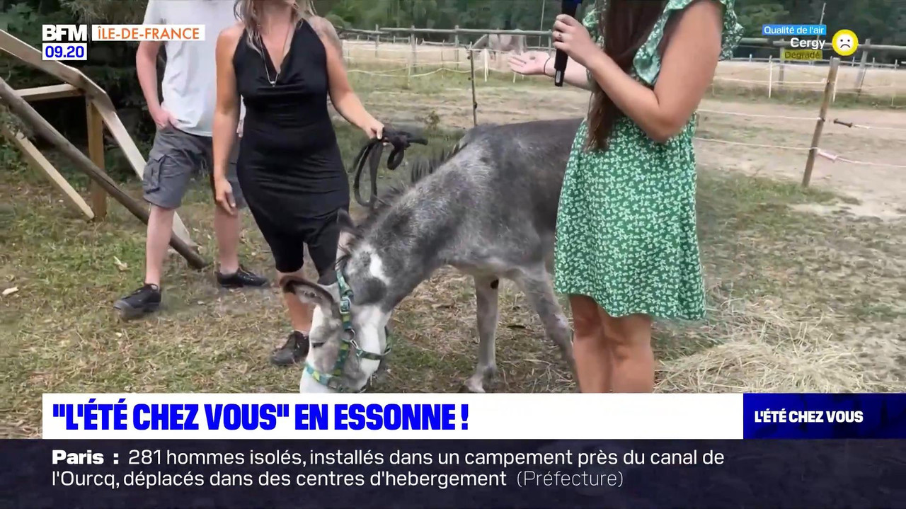vlc-record-2022-08-13-16h22m53s-08.13 - 07.55.51-1.m4v-.mp4_snapshot_05.10_[2022.08.13_17.04.56]