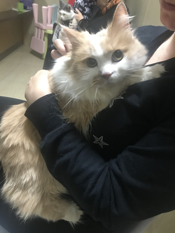 FED40D5F-56B7-478B-A61B-1810E965A25E