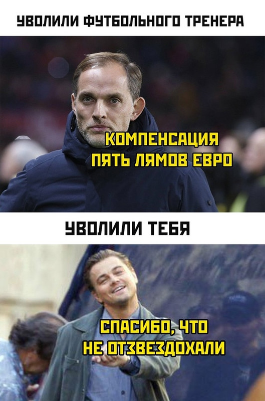 17177322.jpg