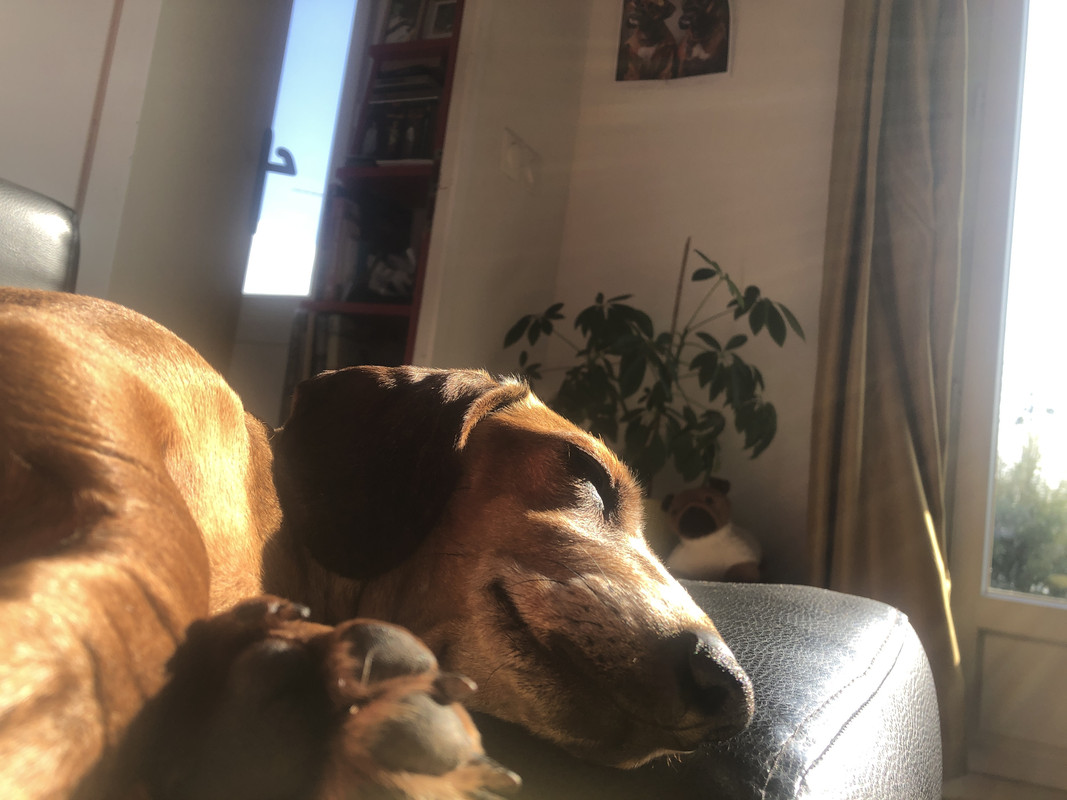 [Image: IMG-3061.jpg]