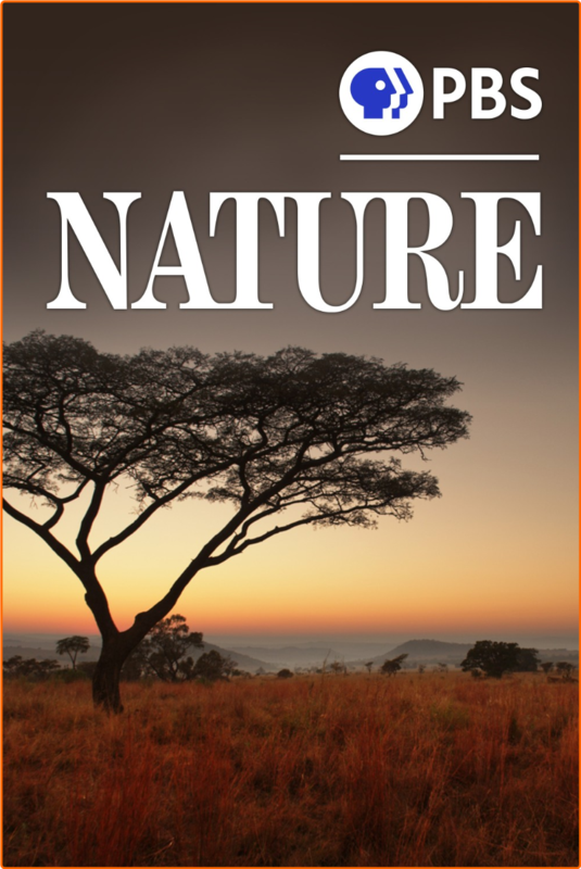 [Image: wh3q2mag1iu2.png]