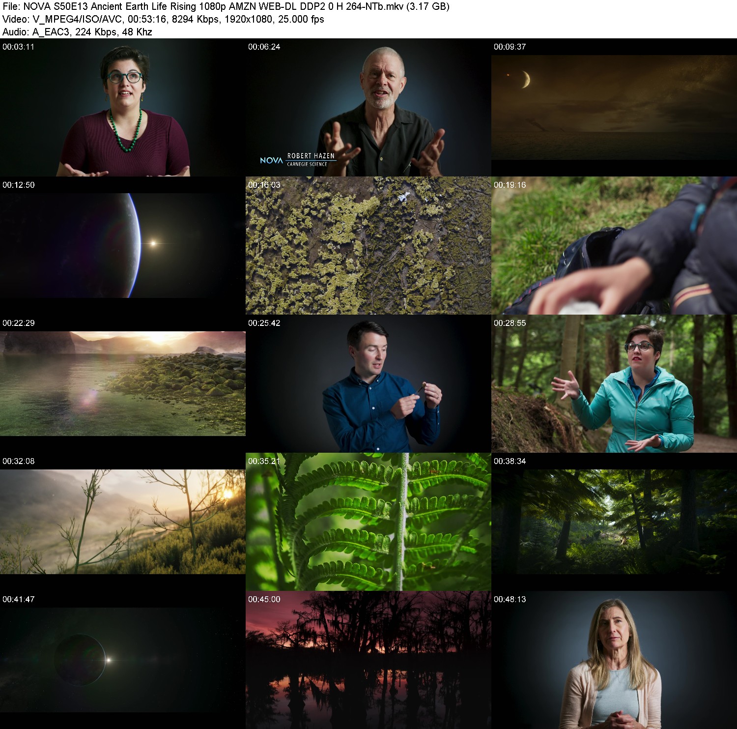 [Image: qd197bxw2rve.jpg]