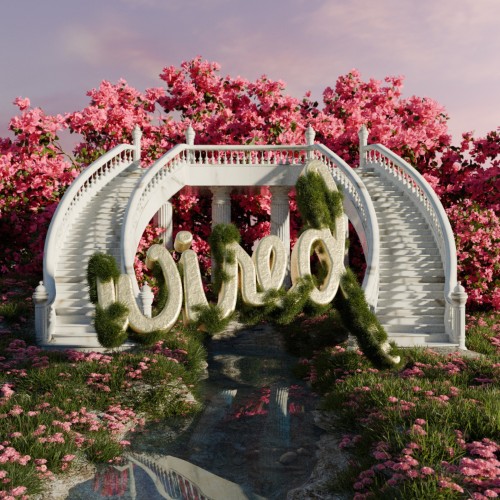 D4NYO - Tapinda (2026)