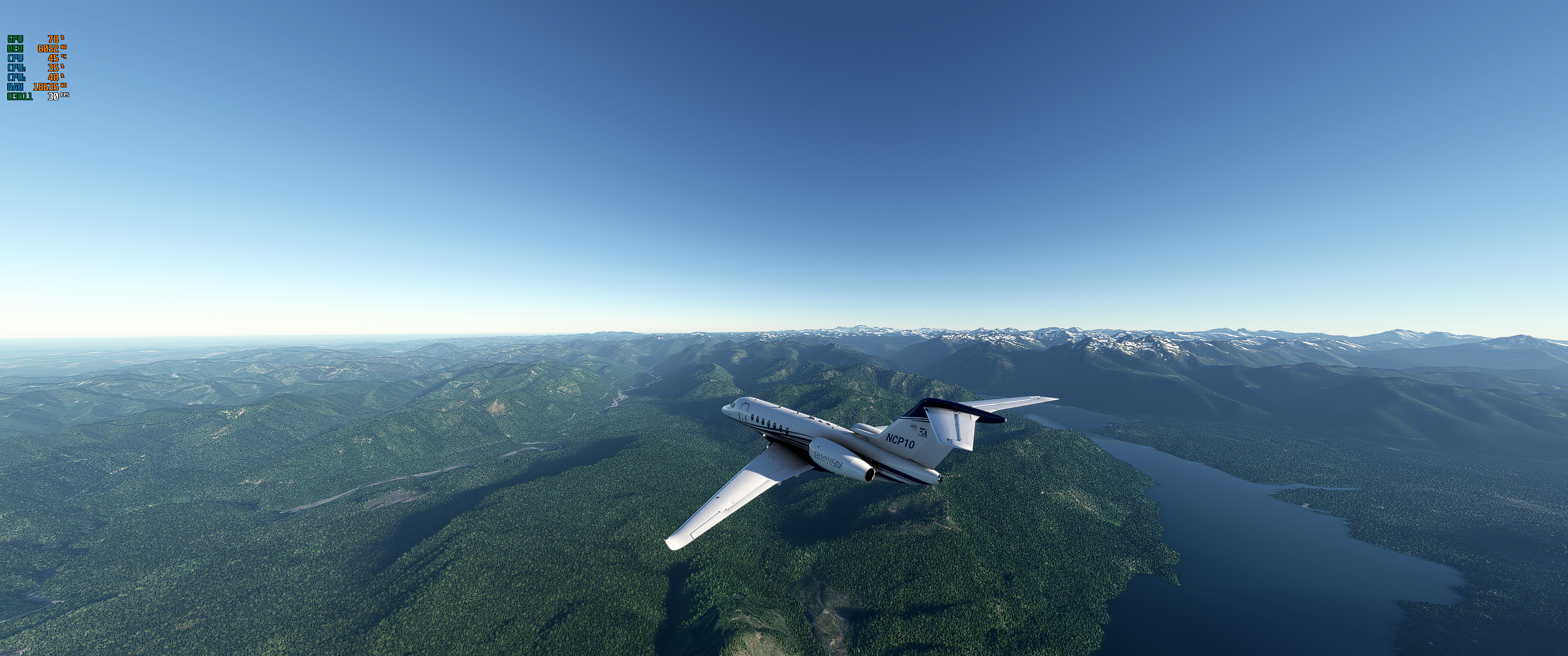 Trees.png