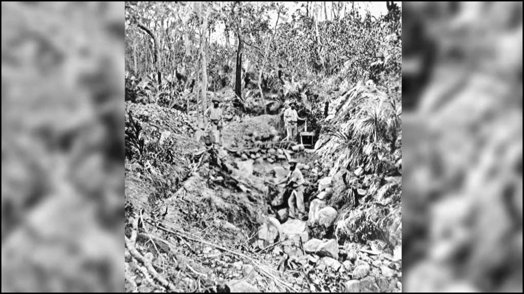 [Image: cwa34jor0or2.png]