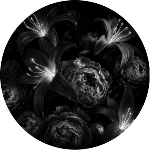Pyramidal-Decode-Origini-ATTIC031-WEB-20