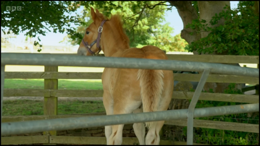 [Image: n07mn6pjw0ak.png]