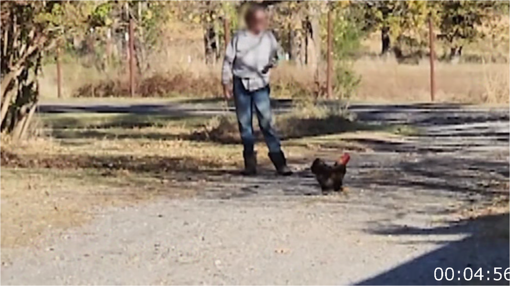 [Image: 28xg6vevct7r.png]