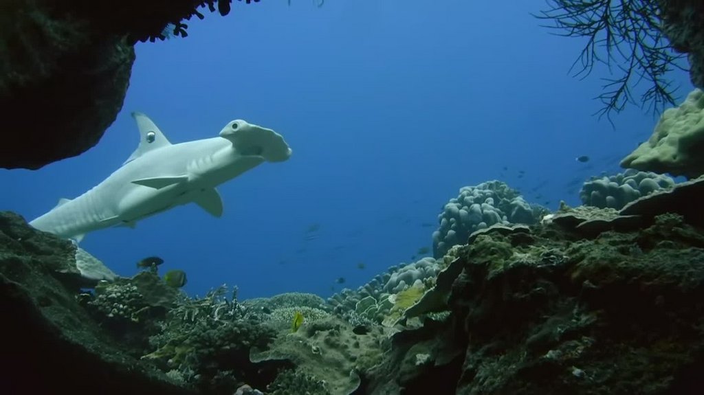 [Image: 1hci9lh83vxm.jpg]