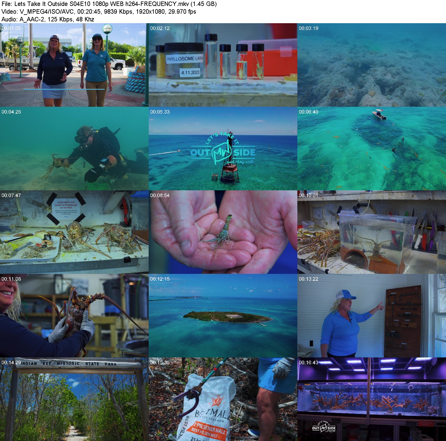 [Image: g66tzns25auo.jpg]