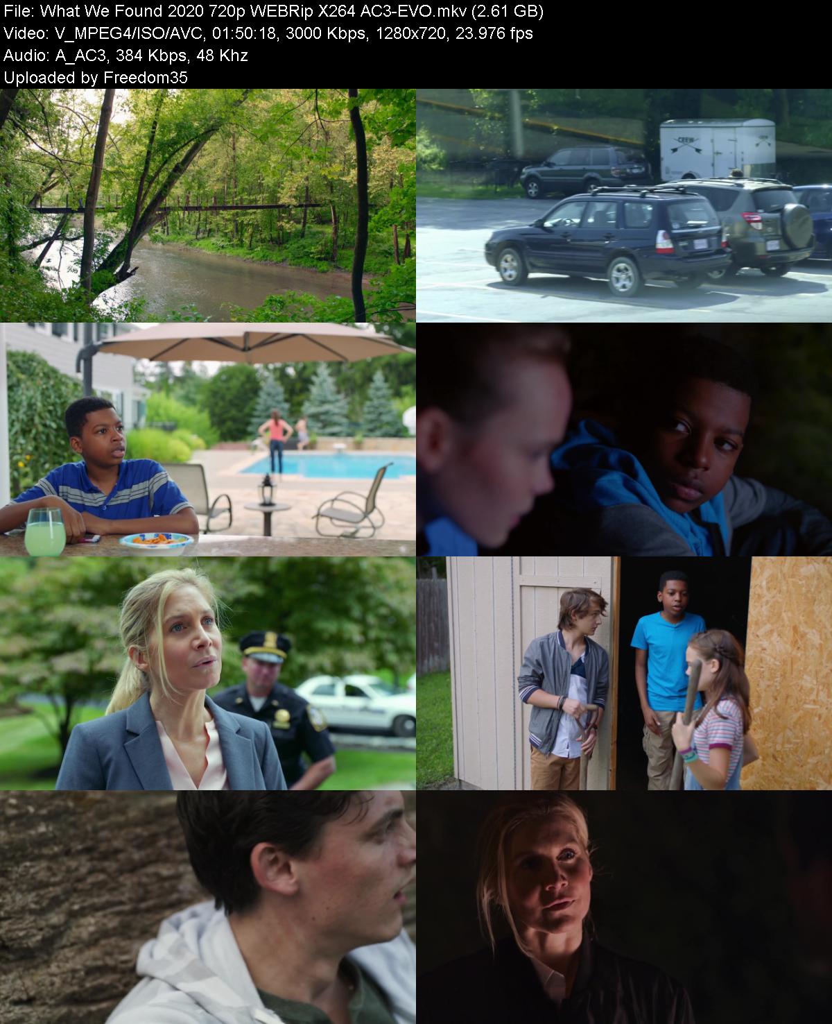 What-We-Found-2020-720p-WEBRip-X264-AC3-