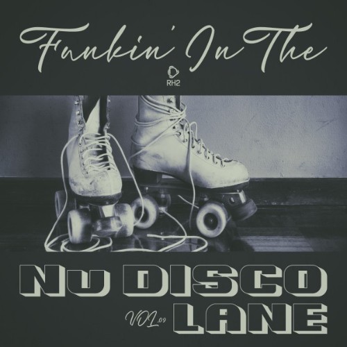 VA - Funkin in the Nu Disco Lane Vol.09 (2026) MP3
