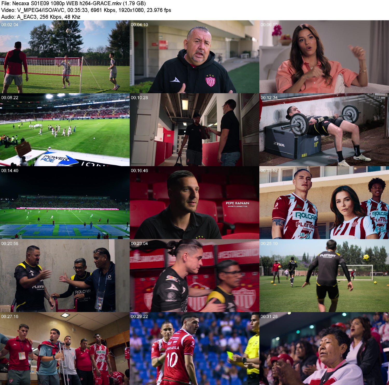 [Image: jmqs2kk14f0q.jpg]