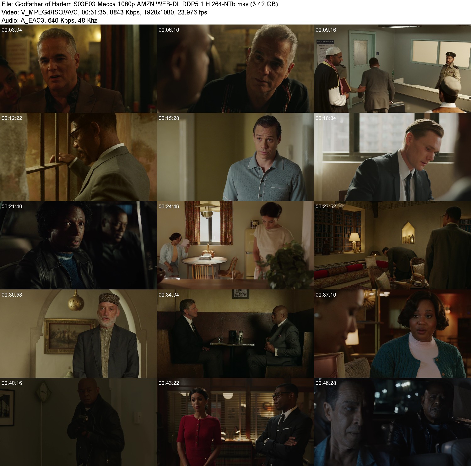 [Image: 3x0jp1ybzea9.jpg]