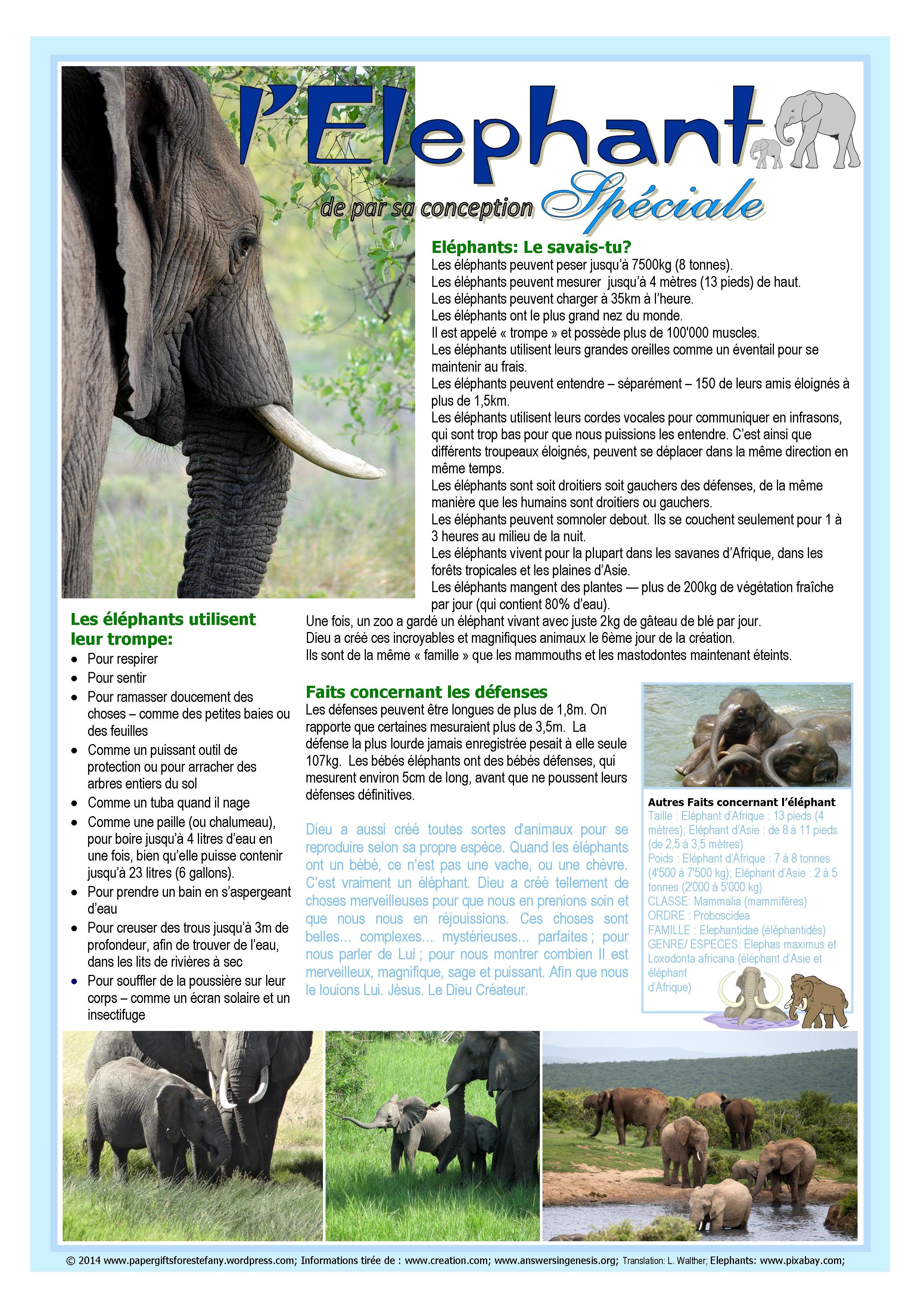 PGFE FRENCH Elephant Article for Kids — Postimages