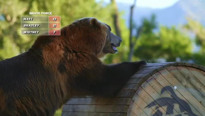 [Image: an1n2zfa1dc4.jpg]