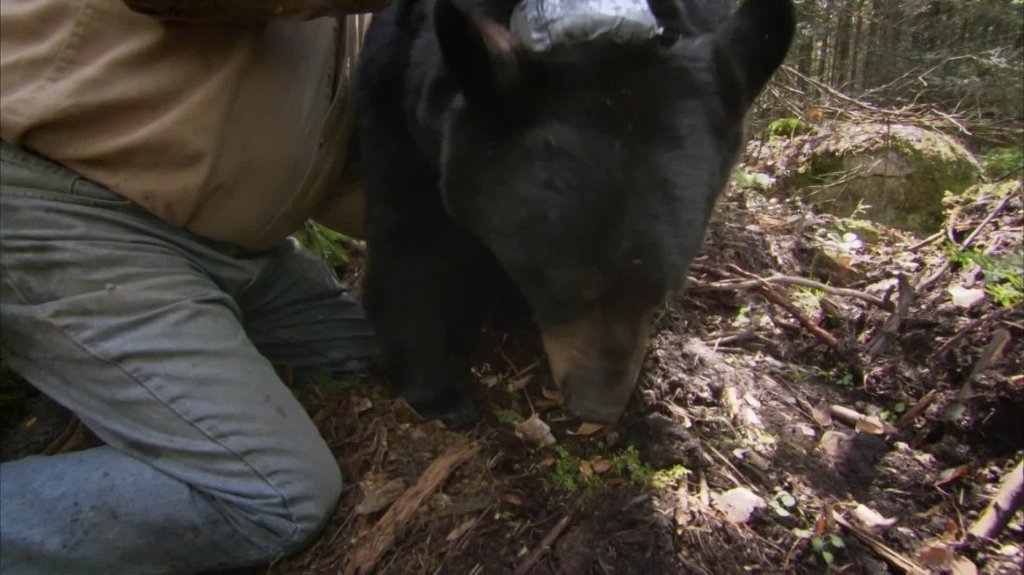 [Image: f4mvp6an5tq5.jpg]