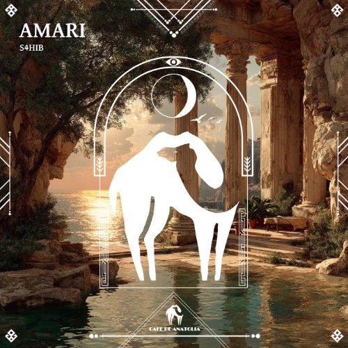 00-s4hib-amari-cdarec2534-web-2026-cover